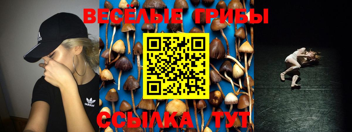Псилоцибиновые грибы мухоморы Шатура